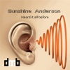 Sunshine Anderson、D M B《Heard it all before (feat. d m b)》[MP3/LRC]