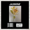 柳梦蝶 - jasmine