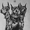 Xang、Yung Gooby - DOGS (feat. SHAE & YUNG GOOBY)(Explicit)