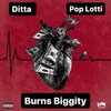 Burns Biggity、Pop lotti - Wish Right Now (Explicit)