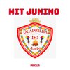 Priscilla - Hit Junino Quadrilha do Arão