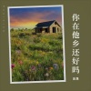 金晟 - 你在他乡还好吗(正式发行版)