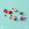 Bodin、Feb、Dance Fruits Music - Sugar