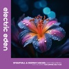 StraitFall、Destiny Hooks - Our Summer