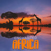 African Music Drums Collection - African Relaxing Music