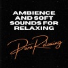 ParaRelaxing、Relax Meditation Sleep、Music For Sleeping and Relaxation《Ambience and Soft Sounds For Relaxing, Pt. 1》[MP3/LRC]