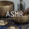 艾米希音樂ASMR - 雨虫鸣鸟叫