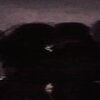 Argento - saveroom#file0 (Explicit)