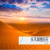 桂小新 - 永不凋零的花