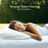 Cricket Sounds、Sleepless Eye、Sleeping Lullabies - Nighttime Nymphs
