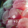 kry wolf - Citrus (Original Mix)