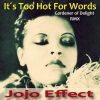 Jojo Effect、Billie Holiday - It's Too Hot for Words (Gardener of Delight Remix)