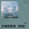 懒得起名、默默Aimo - 在唱想哥哥