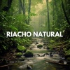 Sons da Natureza、Relaxamento Sons da Natureza Ruído Branco Musicas Clube、Natureza Relaxante - Riacho Natural, Pt. 1