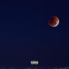 Thomas Austin - All Night (Explicit)