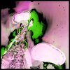 Räubermukke - A Strange Chatter