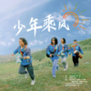 山娃娃、王果儿、嘀哩童声合唱团、岳霖汉 - 少年乘风