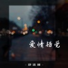 郑添媛《爱情错觉》[MP3/LRC]