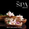 Natural Spa Music Consort《Spa Healing Water (Soft Music)》[MP3/LRC]