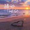 恰恰恰恰恰 - 驿动的心 (英文版)