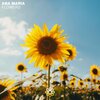 Ana Maria - Flowers