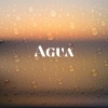 Hillsong Young & Free - Agua