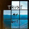 Solstice - Trust My Gut