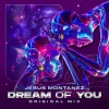 Jesus Montanez《Dream Of You》[MP3/LRC]