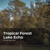 Forest Sounds、Ambient Forest、Rainforest Sounds - Roaming in the Woods