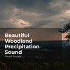 Forest Sounds、Ambient Forest、Rainforest Sounds - Vast Lush Wilderness