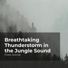 Forest Sounds、Ambient Forest、Rainforest Sounds - Mysterious Forest
