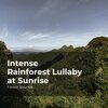 Forest Sounds、Ambient Forest、Rainforest Sounds - River in the Wilderness