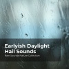 Rain Sounds Nature Collection、ASMR Rain Sounds、Sleepy Rain - Nocturnal Owls and Crickets