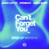 James Carter、Ofenbach、James Blunt《Can’t Forget You (feat. James Blunt) (Sped Up Version)》[MP3/LRC]