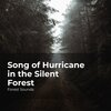 Forest Sounds、Ambient Forest、Rainforest Sounds - Melodious Forest Wind