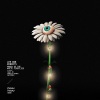 Lee Ann Roberts - March Of The White Fireflies (Original Mix)