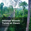 Forest Sounds、Ambient Forest、Rainforest Sounds - Wilderness Adventure