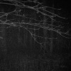 Consumane、Pavel Efimov - Hurt
