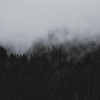 xiaolizi - 你总以为机会无限