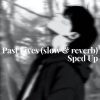 EXE ROHITT - Past Lives (slow & reverb) - Sped Up