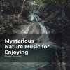 Forest Sounds、Ambient Forest、Rainforest Sounds - Deep Jungle Forest