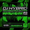 DJ Hybrid、Charlotte X《Once Upon a Time in The Jungle (feat. Charlotte X)》[MP3/LRC]