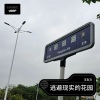 王友文 - The Garden of Escapism (王友文 remix)