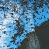 音海時雨、猫のおなか - 始発、白雪に (feat. 猫のおなか)