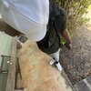 803 Trrell - Let Me Kno (Explicit)