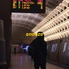 omgkirby - snooze
