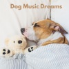 Dog Sleep Academy《Meditation Dog》[MP3/LRC]