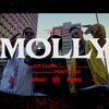 Porve City、L.U.C.K、Alex White、Ancestral SL - MOLLY (feat. L.U.C.K ALEX WHITE & Ancestral SL)(Explicit)