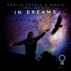 Danilo Ercole、Bev Wild、Omair - In Dreams