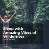 Forest Sounds、Ambient Forest、Rainforest Sounds - Green Nature Scenery